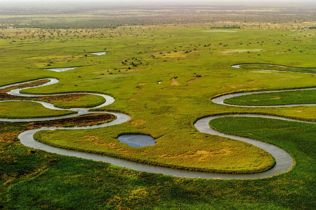 Okavango Delta Safari
