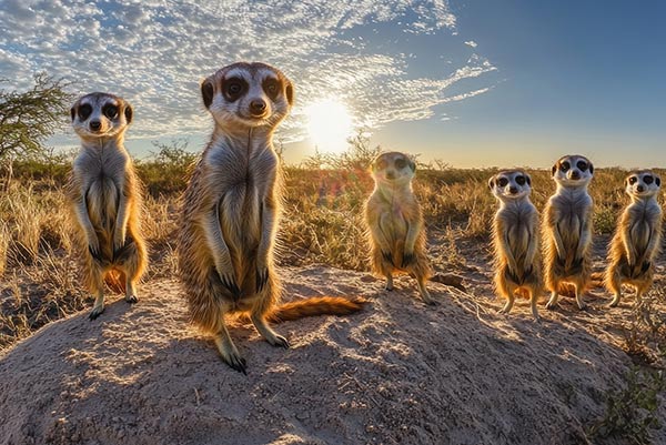 South Africa Garden Route