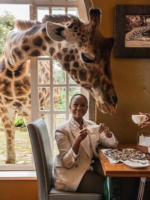 Breakfast with Giraffes- Giraffe Manor Hotel 