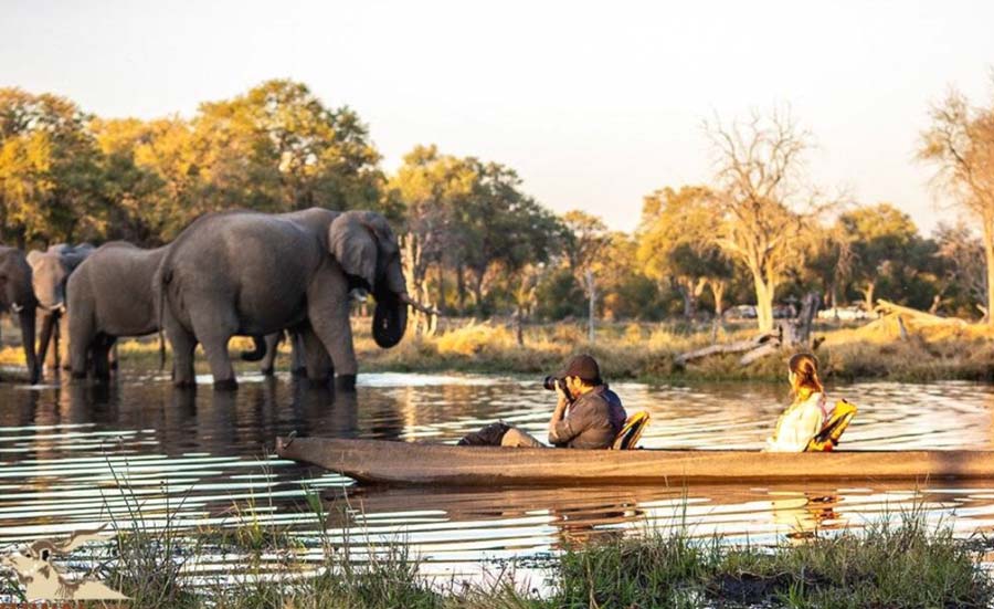 Botswana Okavango Delta luxury safari mokoro boat wildlife experience