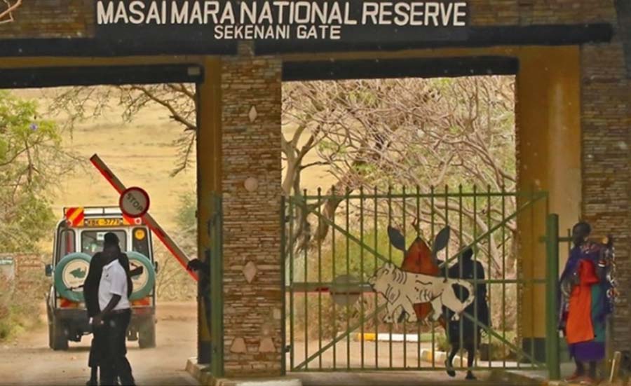 Kenya Maasai Mara safari wildlife Big Five game drive from Delhi travelers