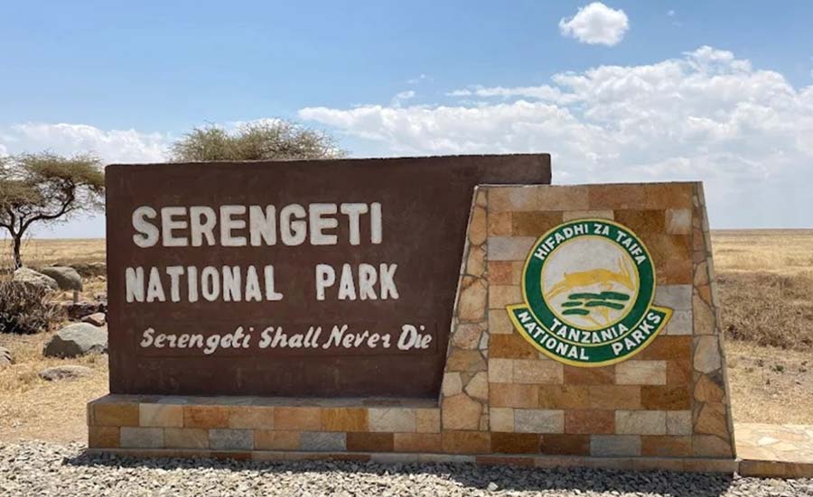 Tanzania Serengeti and Ngorongoro crater safari vast landscape wildlife Africa