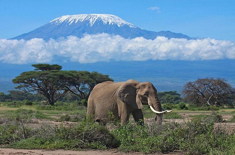 Amboseli National Park