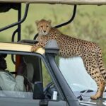 Getting Around Tanzania