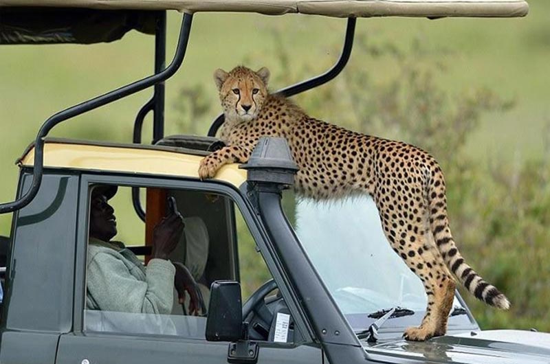 Getting Around Tanzania